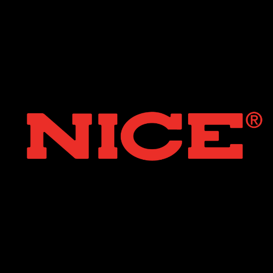 NICE LOGO
